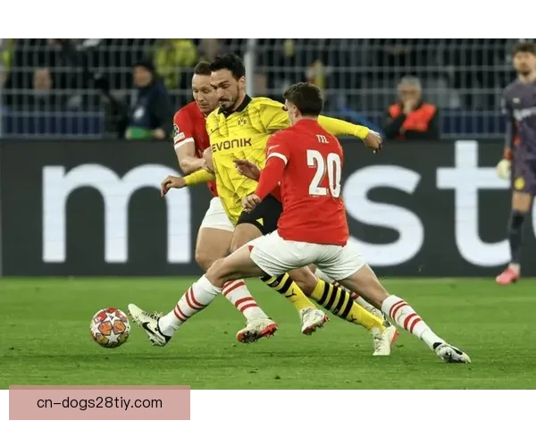 欧冠前博德闪耀主帅亲印大名单