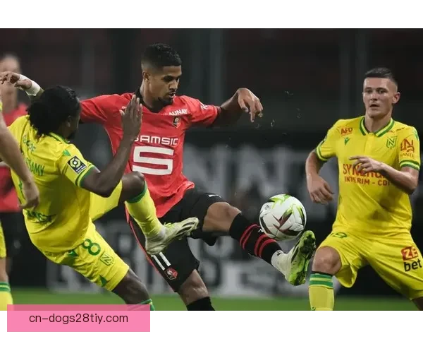 官方雷恩主帅贝耶下课近五战不胜