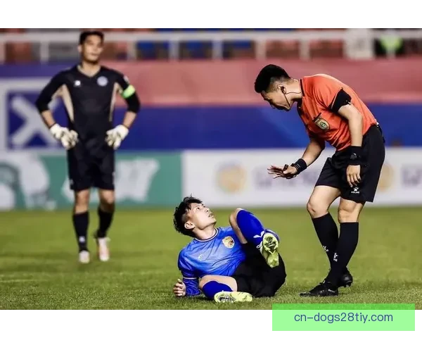 大连鲲城签下两名海归悍将新援