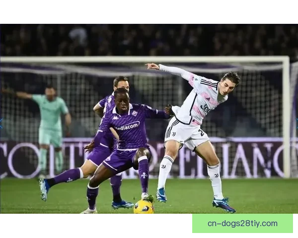 拉涅利复仇之夜曼德拉戈拉闪耀